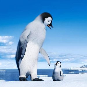 Foto Happy Feet 2: El pingüino