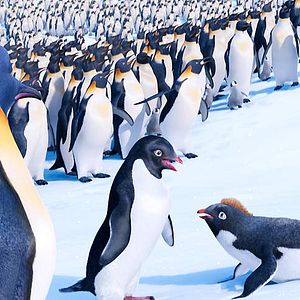 Foto Happy Feet 2: El pingüino