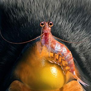 Foto Happy Feet 2: El pingüino