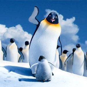 Foto Happy Feet 2: El pingüino