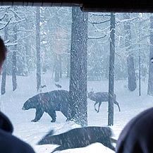 Foto El cazador de sueños