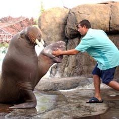 Foto Como si fuera la primera vez