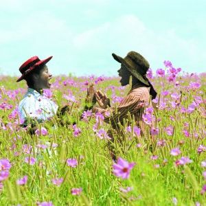 Foto El color púrpura