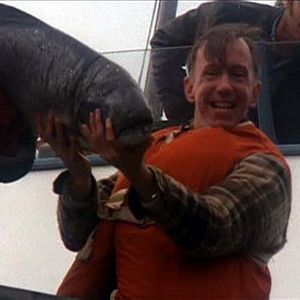 Foto Atrapado sin salida