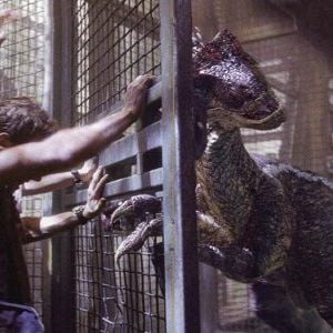 Foto Parque Jurásico III