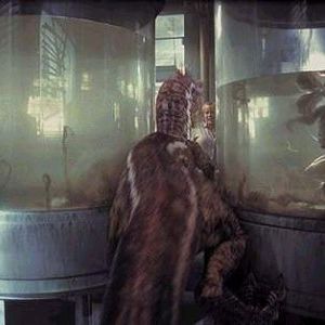 Foto Parque Jurásico III