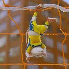 Foto Stuart Little 2: La aventura continúa