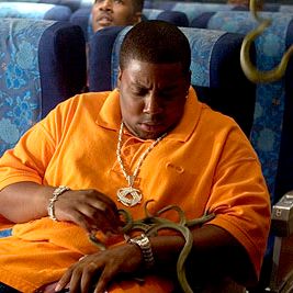 Foto Serpientes a bordo