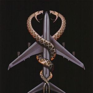 Foto Serpientes a bordo