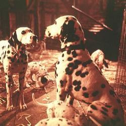 Foto 101 Dálmatas ¡Ahora la magia es real!