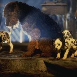 Foto 101 Dálmatas ¡Ahora la magia es real!