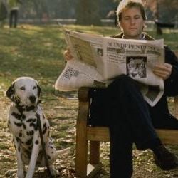 Foto 101 Dálmatas ¡Ahora la magia es real!