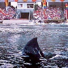 Foto Jaws 3-D: El gran tiburón