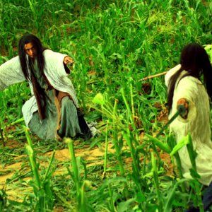 Foto  Cenizas del Tiempo