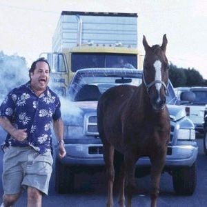El mundo está loco, loco - Película 2001.mx