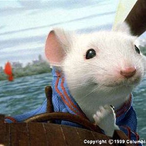 Foto Stuart Little