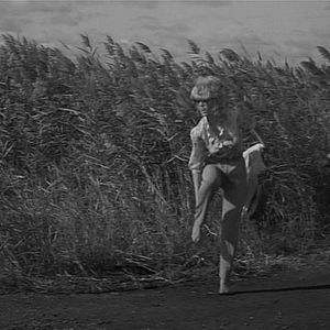 Foto Broadway Danny Rose