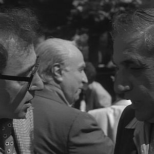 Foto Broadway Danny Rose