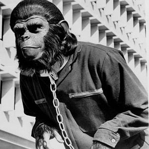 Foto La conquista del planeta de los simios