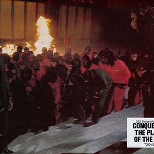 Foto La conquista del planeta de los simios