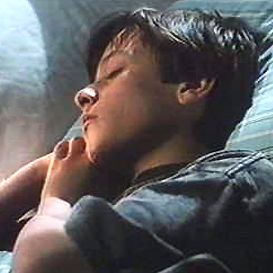 Foto Cementerio maldito dos