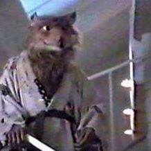 Foto Las tortugas ninja II