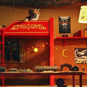 Foto El fantástico señor Zorro