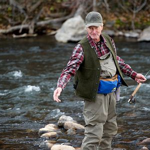 Foto Darling Companion