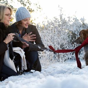 Foto Darling Companion