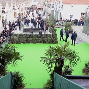 Foto Viaje 2: La Isla Misteriosa