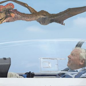 Foto Gigantes voladores 3D con David Attenborough
