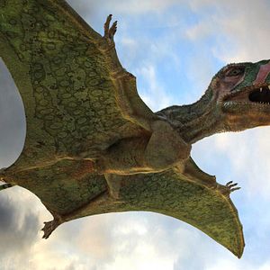 Foto Gigantes voladores 3D con David Attenborough