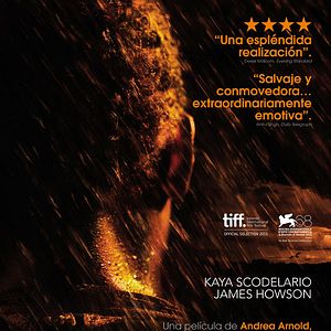 Foto Cumbres borrascosas