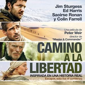 Foto Camino a la libertad
