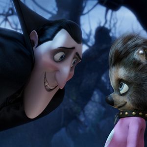 Foto Hotel Transylvania