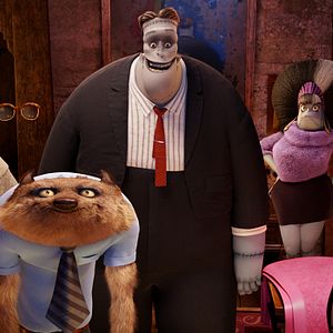 Foto Hotel Transylvania