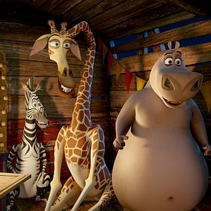 Foto Madagascar 3: Los fugitivos