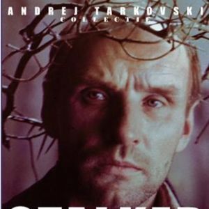 Foto Stalker: La zona