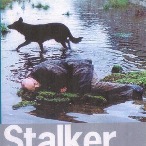 Foto Stalker: La zona