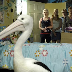 Foto H20: Sirenas del Mar