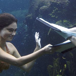 Foto H20: Sirenas del Mar