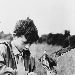 Foto David Bradley (II)