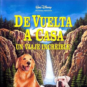 Foto De vuelta a casa. Un viaje increíble