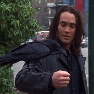 Foto Mark Dacascos