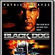 Foto Black Dog