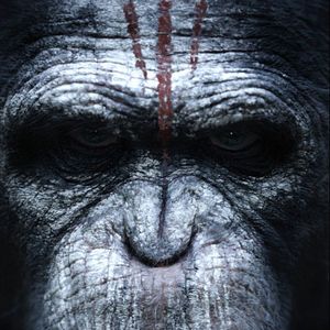 Foto El planeta de los simios: Confrontación