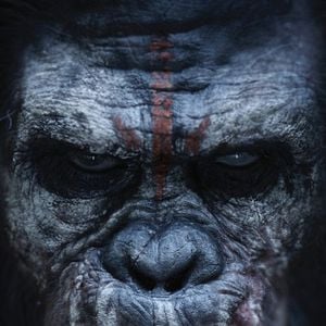 Foto El planeta de los simios: Confrontación