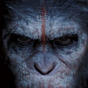 Foto El planeta de los simios: Confrontación