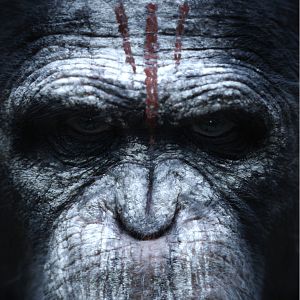 Foto El planeta de los simios: Confrontación