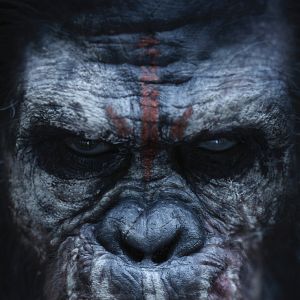 Foto El planeta de los simios: Confrontación